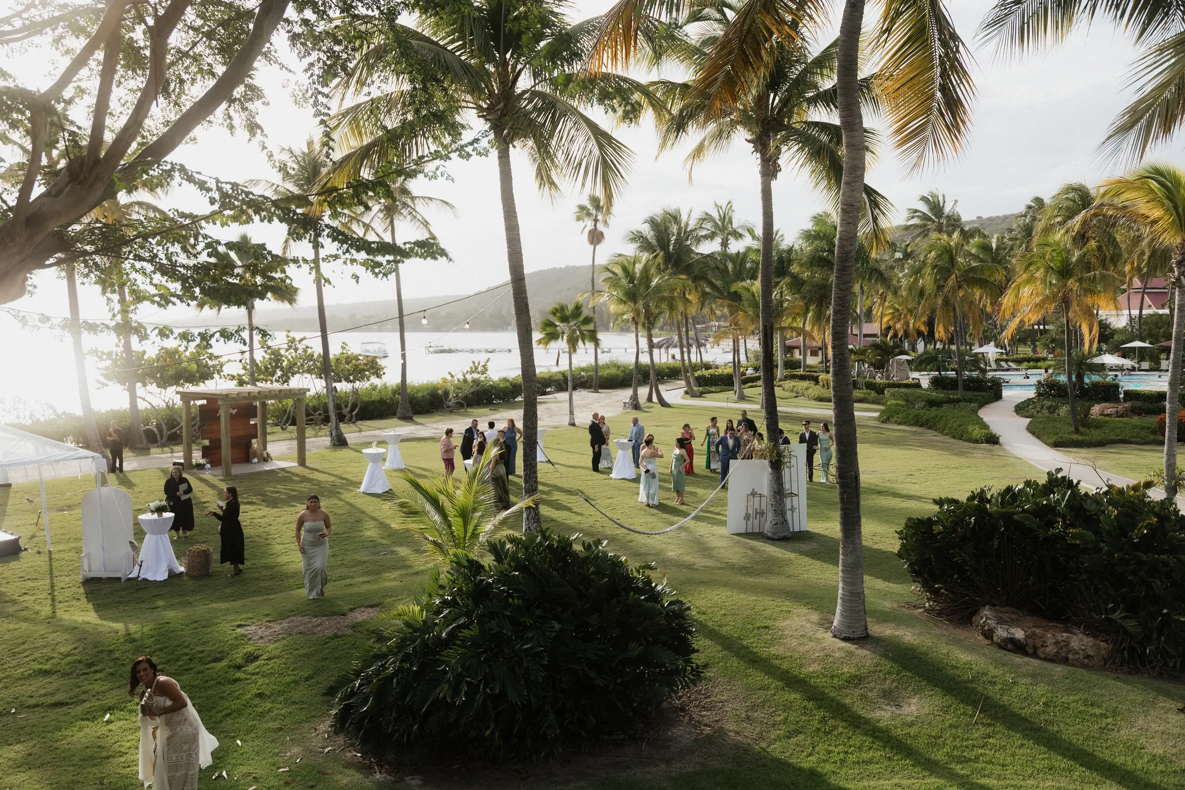Golden-hour destination wedding celebration under palm trees at a Puerto Rico oceanfront venue
