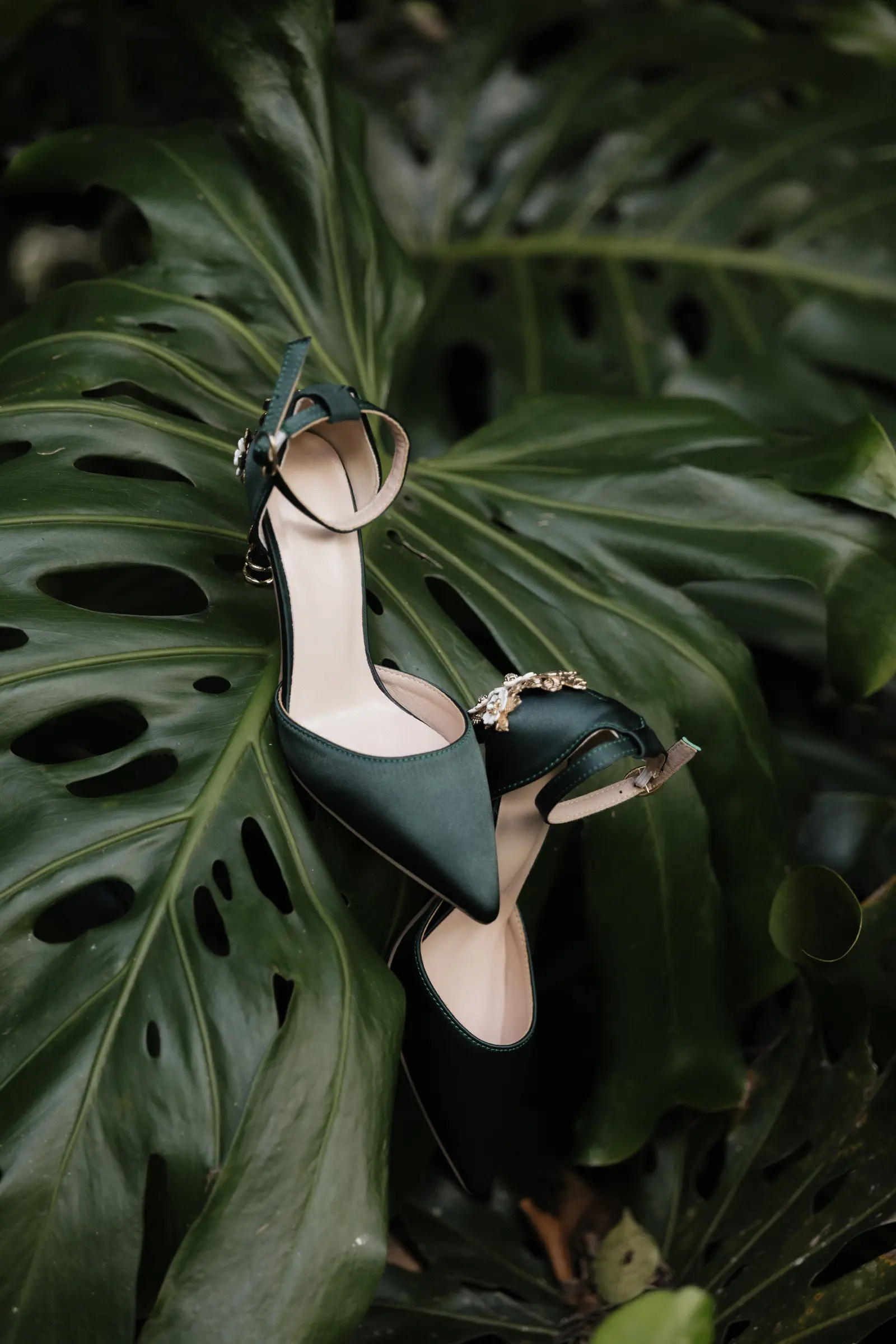 Bride's strappy heel styled among tropical monstera leaves