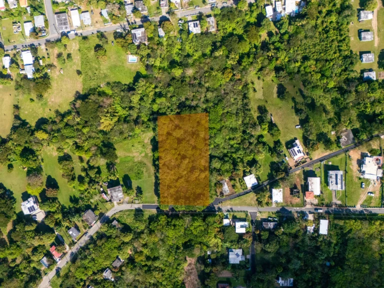 Aerial view of a wooded residential lot near a Puerto Rico neighborhood